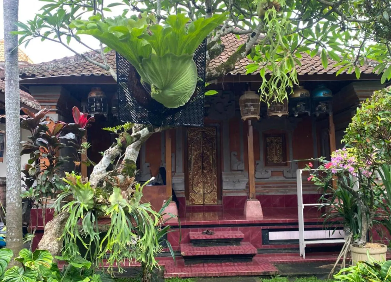 Suryadina Guest House Ubud  Индонезия