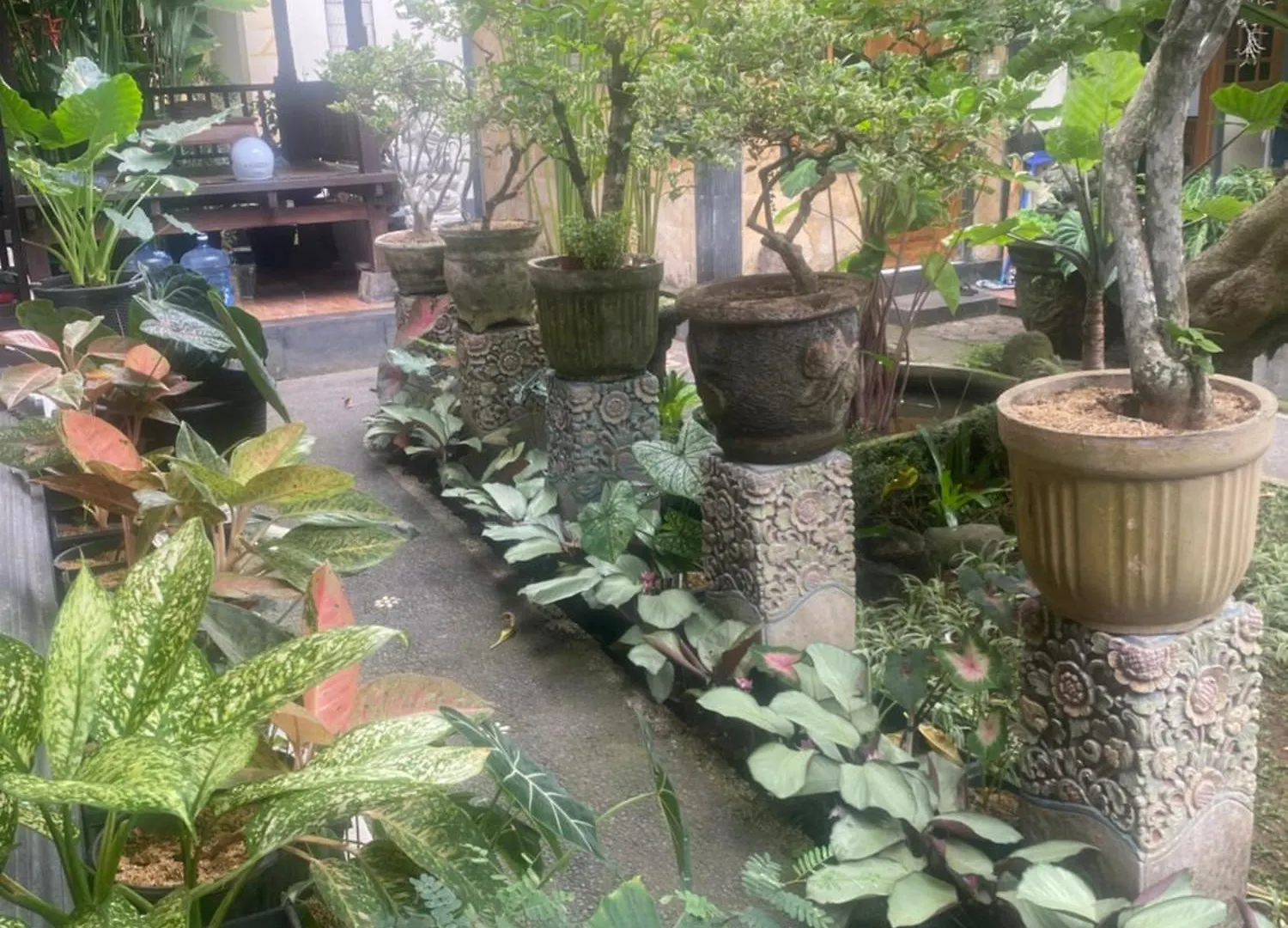 Suryadina Guest House Ubud   Убуд