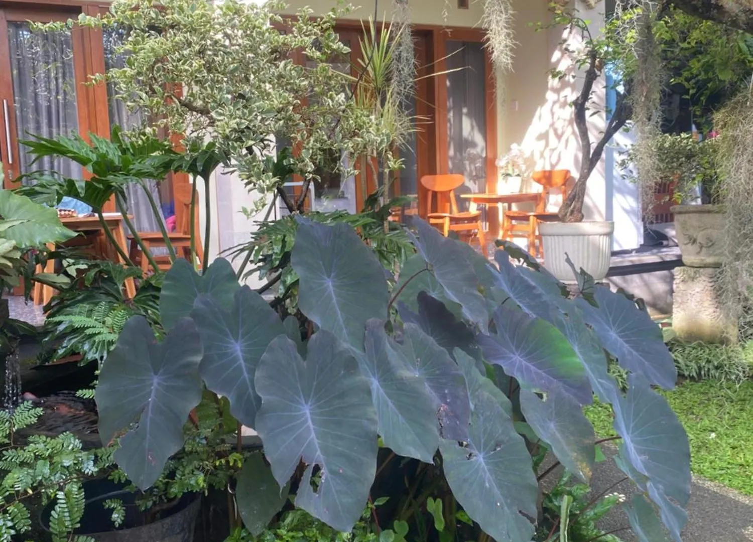 Suryadina Guest House Ubud  Indonesia