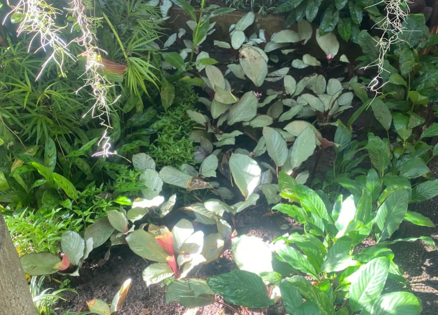 Suryadina Guest House Ubud