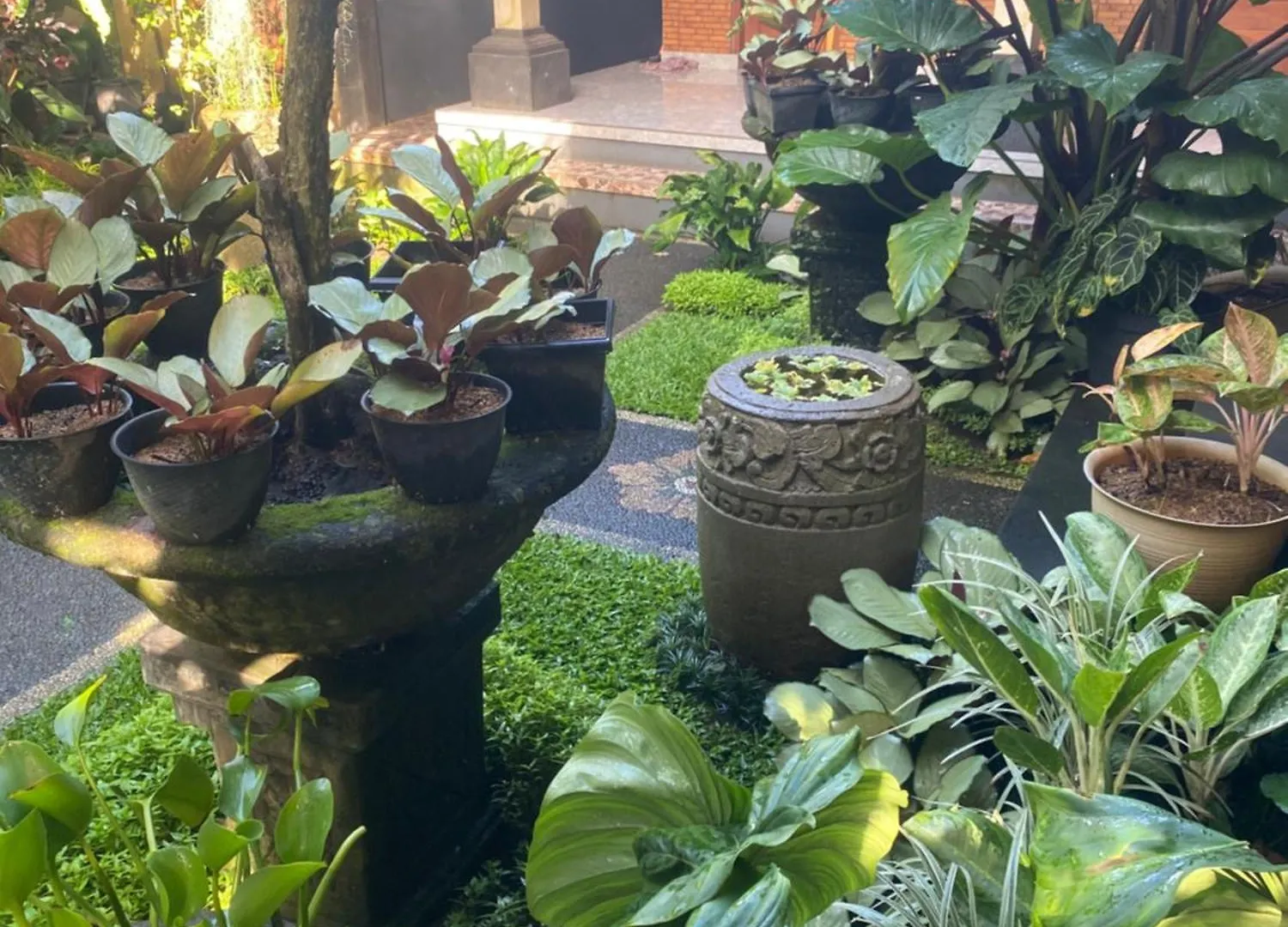 Suryadina Guest House Ubud