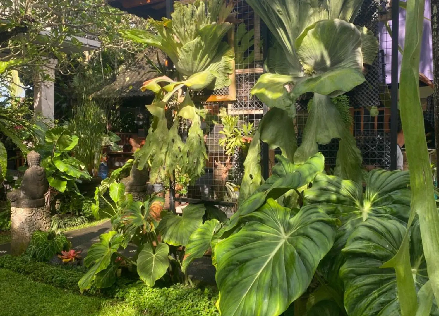 Suryadina Guest House Ubud