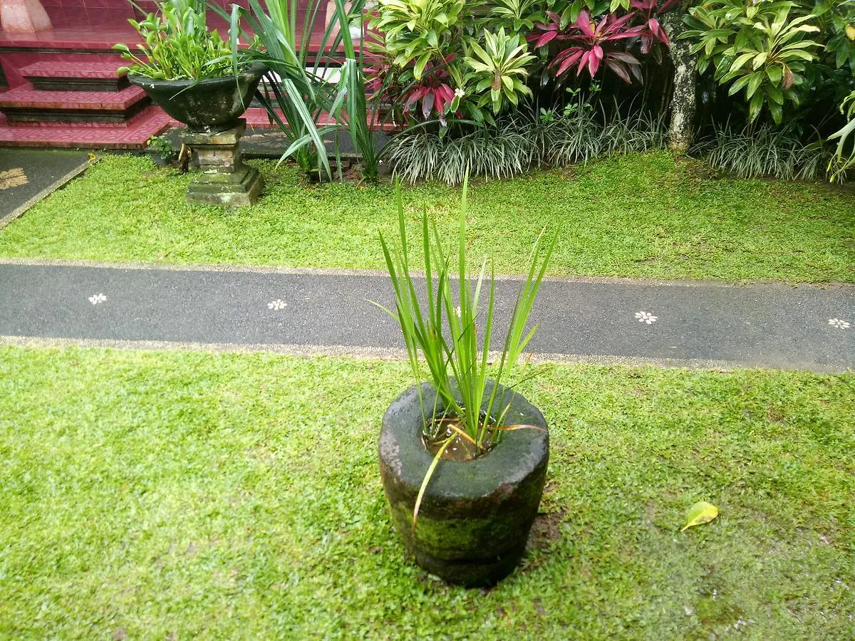 Suryadina Guest House Ubud  Indonesia